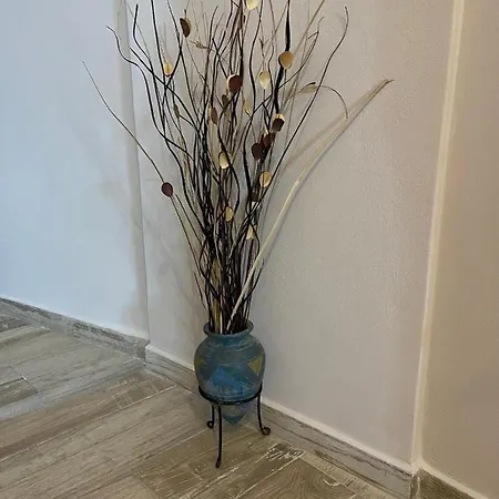 Belle Epoque Lixouri